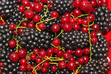 background of red berries