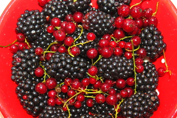 berries in a red bowl