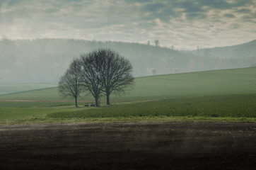 Fototapeta na wymiar Morgendliche Nebelschwaden steigen aus Feldern auf und lösen sich in der Morgensonne auf