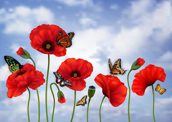 Poppy flowers and butterflies