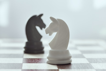 White horse on a black horse in a blur, two on the chessboard. Chess is an strategy and...