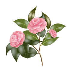 Branch with pink roses