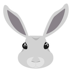gray rabbit head vector drawing