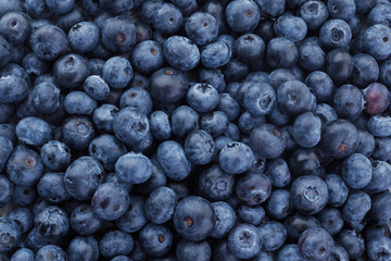 Closeup of a Pile of Fresh Blueberries in an Open Air Market