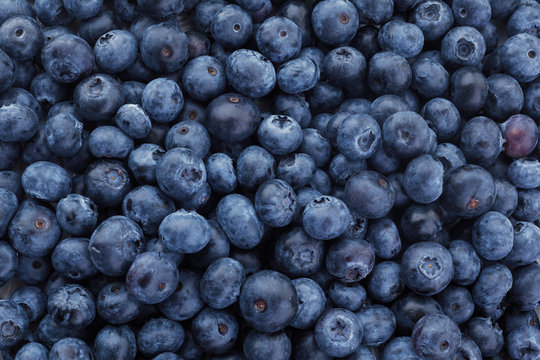 Closeup of a Pile of Fresh Blueberries in an Open Air Market