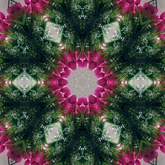 kaleidoscope background design in the shape of flowers