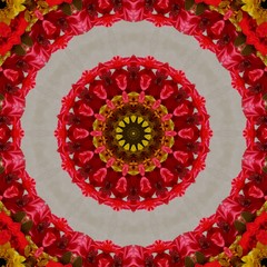 kaleidoscope background design in the shape of flowers