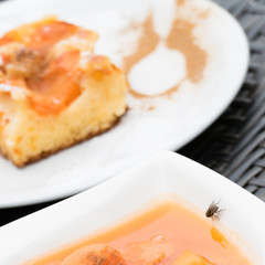 One fly on a white bowl that is filled with an apricot compote. The fly is searching for food and there is a beautiful reflection of the insect in the apricot puree. Apricot cake in the background.