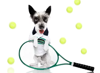 Tableaux ronds sur aluminium Chien fou chien de tennis avec propriétaire et balle