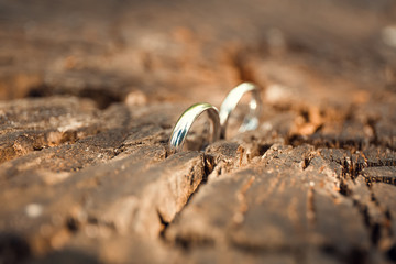 wedding rings
