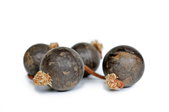 Traditional African hand percussion musical shaker instrument called 'Hemp Patica' or 'Thelevi' on white background