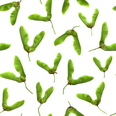 Many scattered Maple fetus. Green floral seamless pattern. Isolated on white background. .