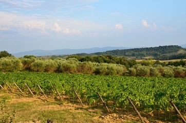 Fototapeta na wymiar Landscape near the historic city of San Gimignano