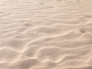 Fototapeta na wymiar Sandy beach background.