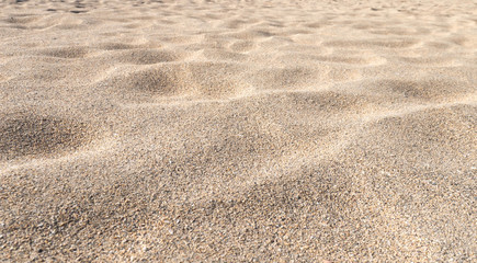 Sandy dune formations created by the wind.