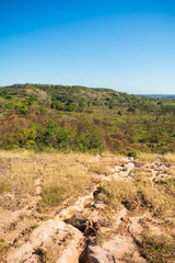 Fototapeta na wymiar Caatinga landscape in Oeiras, Piaui - Brazil