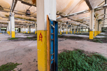 Urban exploration / Abandoned wool mill