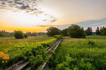 rural landscape with wheat field and blue sky at sunrise