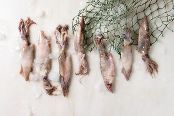 Raw uncooked squids calamari in row with ice, lemon and fishing nets over white marble background. Flat lay, space
