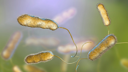 Legionella pneumophila bacterium, the causative agent of Legionnaire's disease, 3D illustration