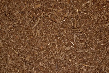 Dark brown wood chip mulch scattered thickly in a landscaped garden area.	
