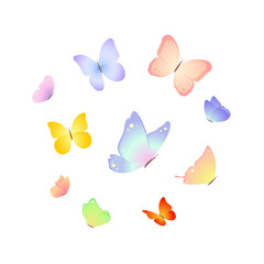 Butterfly illustration