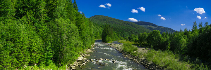 Naklejka na ściany i meble Panoramic view of the mountain river with green forest, blue sky with white clouds. Carpathians, Ukraine