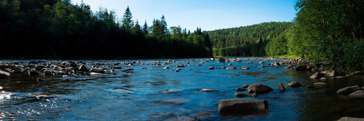 Panoramic view of the blue river, mountains and green coniferous forest. Carpathians, Ukraine