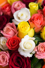 flowers, rose, background, gift, holiday, valentines day, day, woman, march 8, wedding, birthday, man, woman, beautiful, original, advertising, store