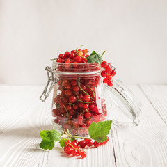 Fresh ripe red currant berry in a glass jar on a white background. Square frame