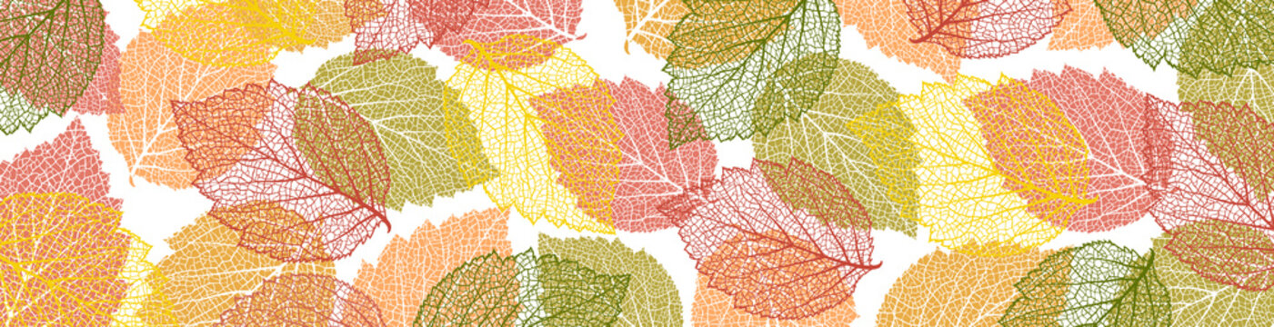 Autumn  background with leaves. Nature banner. Frame with plants. Bright template 