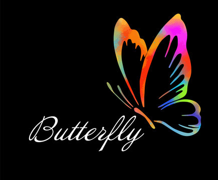 Colorful Butterfly. Multicolored abstract butterfly logo. Vector
