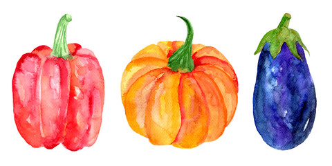 Watercolor autumn vegetables set isolated on white background. Pumpkin, sweet pepper and eggplant. Hand painted illustration. 