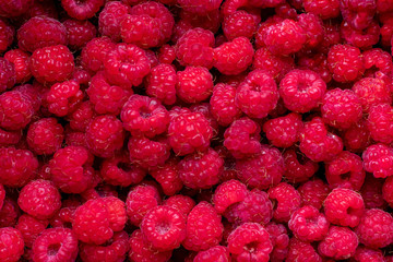 Fresh ripe raspberry close up photo. Background.