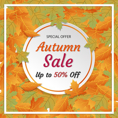 Autumn sale discount leaf background
