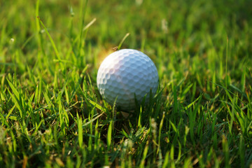 Golf ball on tee in beautiful golf course at Thailand. Collection of golf equipment resting on green grass with green background