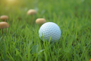 Golf ball on tee in beautiful golf course at Thailand. Collection of golf equipment resting on green grass with green background