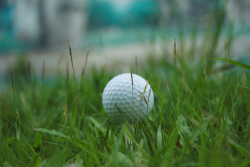 Golf ball on tee in beautiful golf course at sunset background.