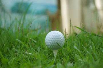 Golf ball on tee in beautiful golf course at Thailand. Collection of golf equipment resting on green grass with green background