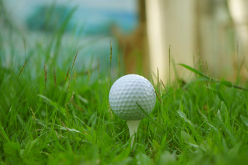 Golf ball on tee in beautiful golf course at sunset background.