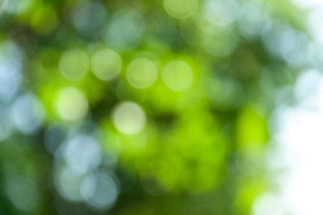 Nature abstract background