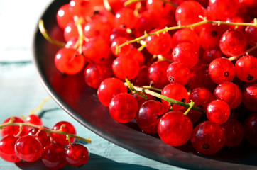 Freshly picked red currant berries on the plate on a blue wooden background.Summer harvest concept.Selective focus.