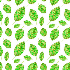 Watercolor seamless pattern with green leaves  on white background. Hand painted illustration. 
