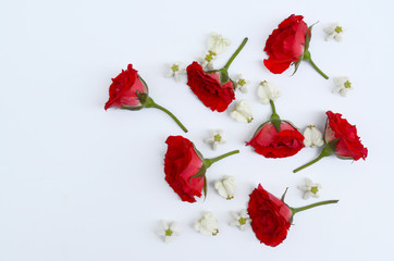 rose and crown flower on white background