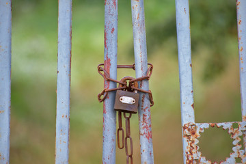 Old gate locked with a padlock