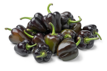 Heap of fresh raw mini purple bell peppers