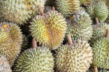 Naklejka na ściany i meble Row of durian for sell