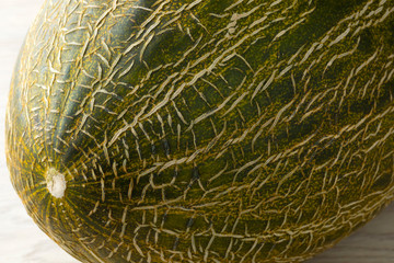  Piel de sapo melon close up