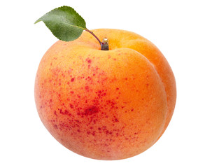 Ripe apricot isolated on white background