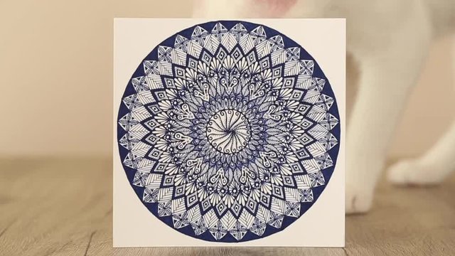 mandala drawing and meditation